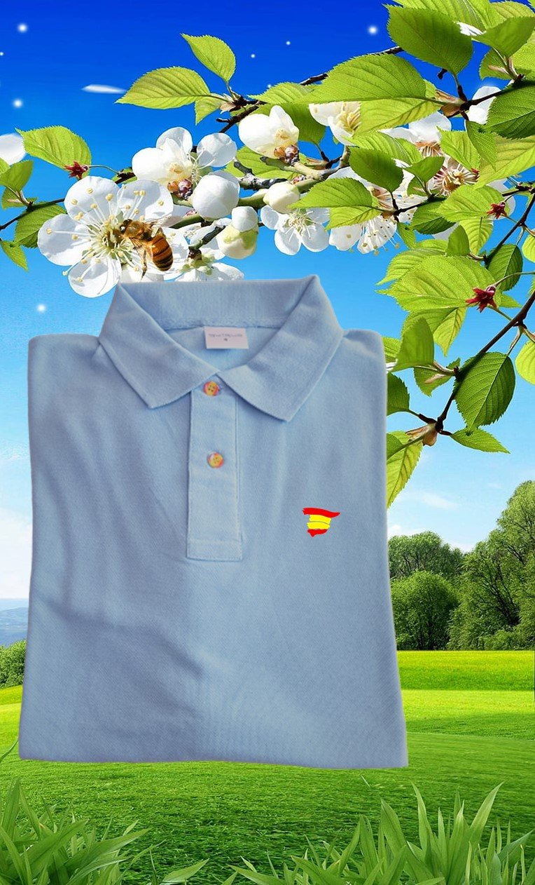 Polo Botones Bandera Hombre